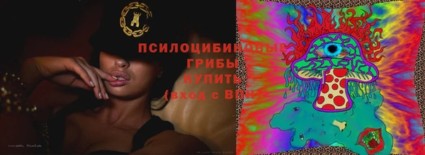 таблы Вяземский