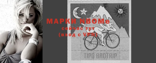 ешки Вязьма