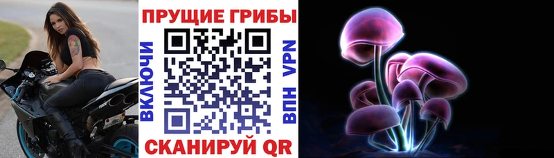 дарнет шоп  KRAKEN как войти  Псилоцибиновые грибы MAGIC MUSHROOMS  Игарка 